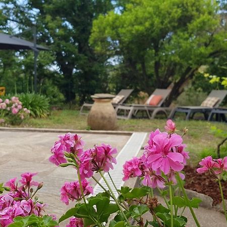 Aroma Green Villa Cagnano Екстериор снимка