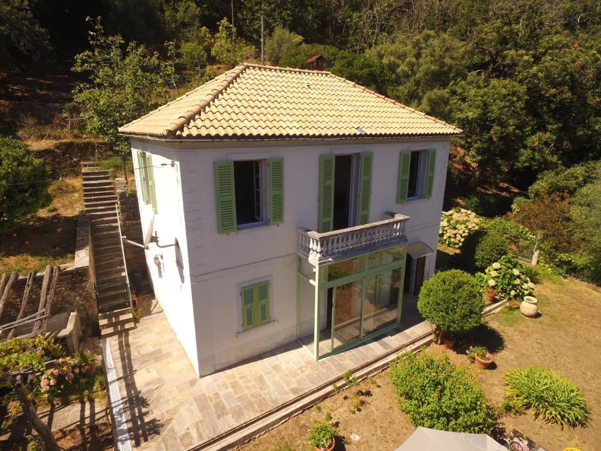 Aroma Green Villa Cagnano Екстериор снимка