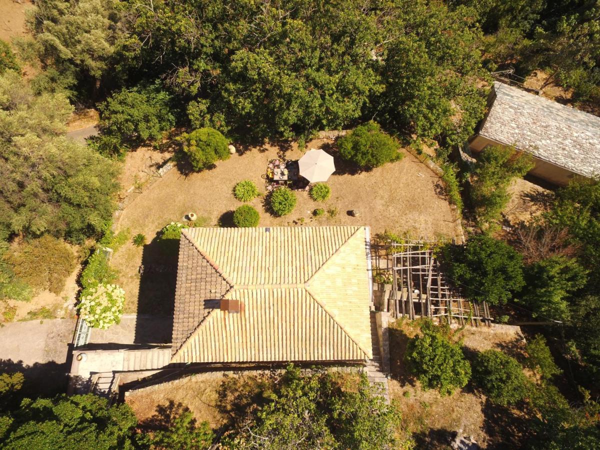 Aroma Green Villa Cagnano Екстериор снимка