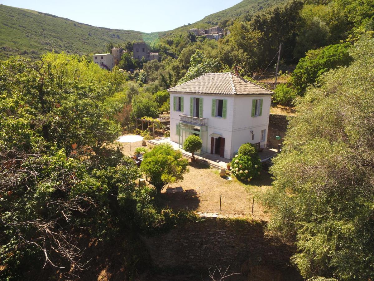 Aroma Green Villa Cagnano Екстериор снимка