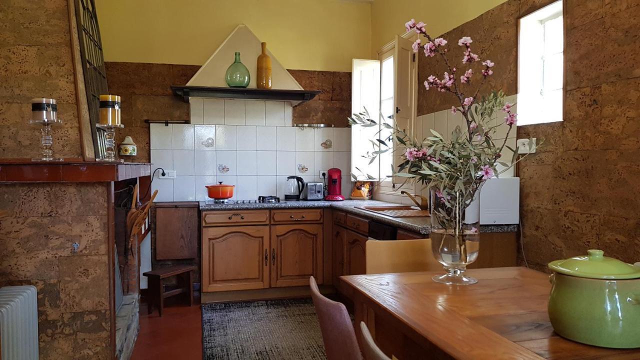 Aroma Green Villa Cagnano Екстериор снимка