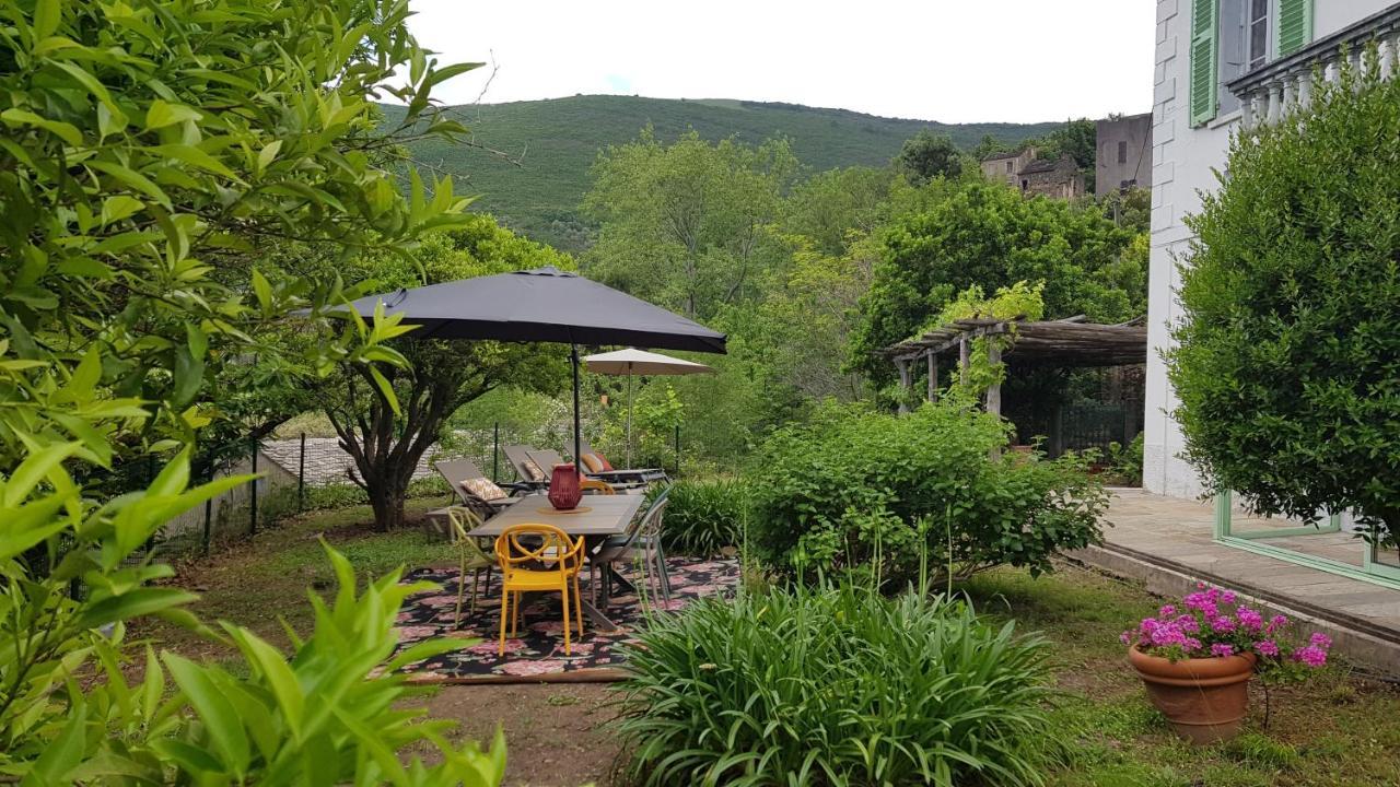 Aroma Green Villa Cagnano Екстериор снимка